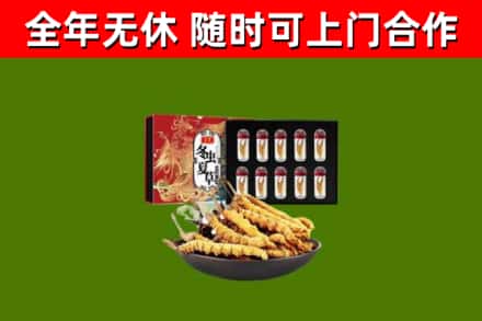峡江回收冬虫夏草价格
